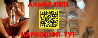 амф Гатчина