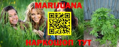 амф Гатчина