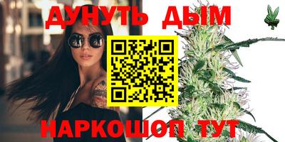 амф Гатчина