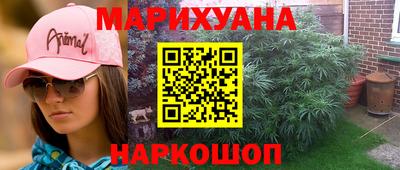 амф Гатчина