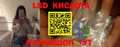 амф Гатчина