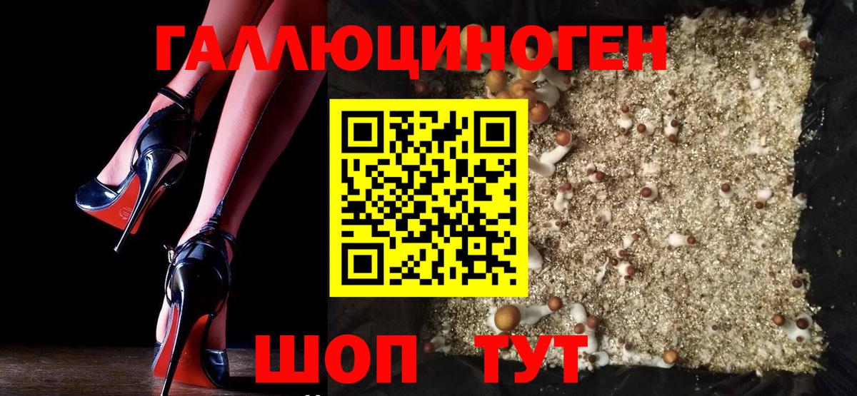 Галлюциногенные грибы Cubensis Дербент