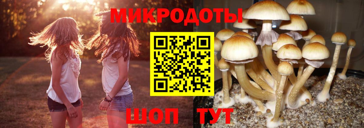 Дербент  Псилоцибиновые грибы Cubensis  Вход с VPN  Галлюциногенные грибы мицелий 